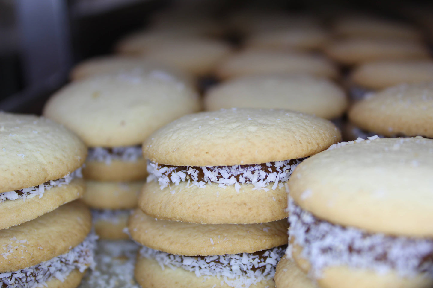 Traditional Alfajores Cookies - Box of 8