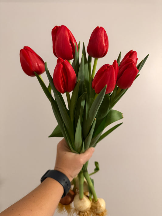 Tulip Bouquet