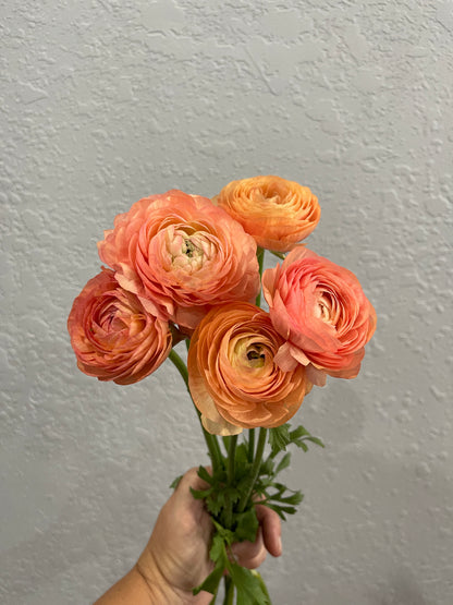 Salmon - Amandine Ranunculus