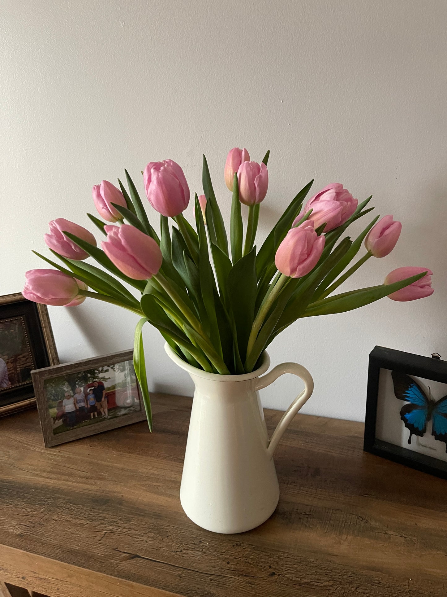 Valentine's Day Tulips