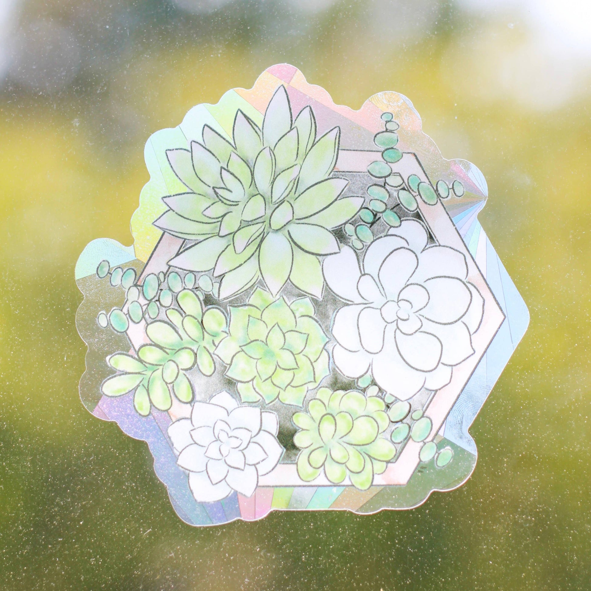 succulent decal Succulent Planter Sun Catcher Window Decal, 5x4.75 in