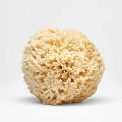 Large Natural Bath Sea Sponge ( Soft  )