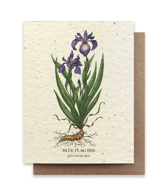 Blue Flag Iris Plantable Wildflower Seed Card